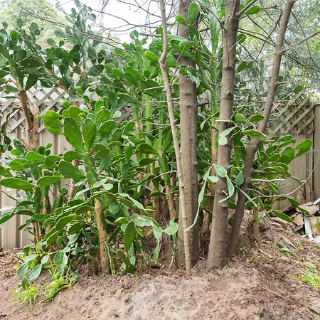 Classic Queen Room - Close To Airport & Eateries - Shared Bathroom Sydney Exterior photo
